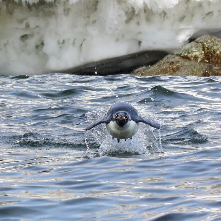 Photo of Antarctica