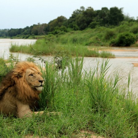 Photo of Sabi Sand Reserve South Africa